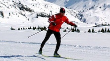 Langlaufen: Klassische Ski Technik und Skating